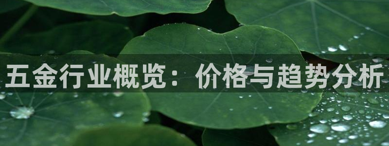 琳琅娱乐平台怎么样