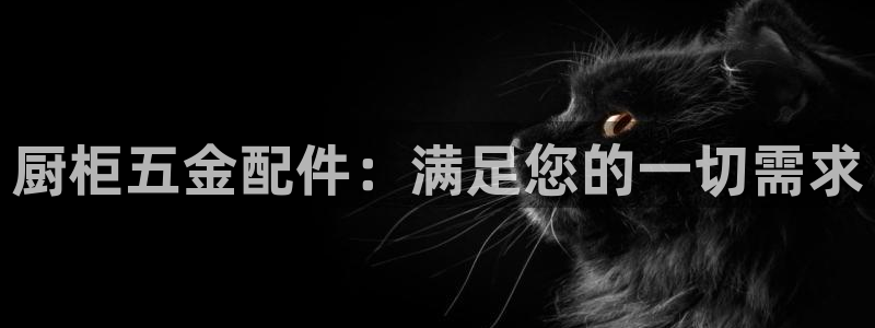 琳琅娱乐代理21192
