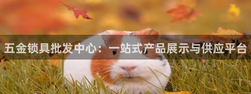琳琅娱乐m