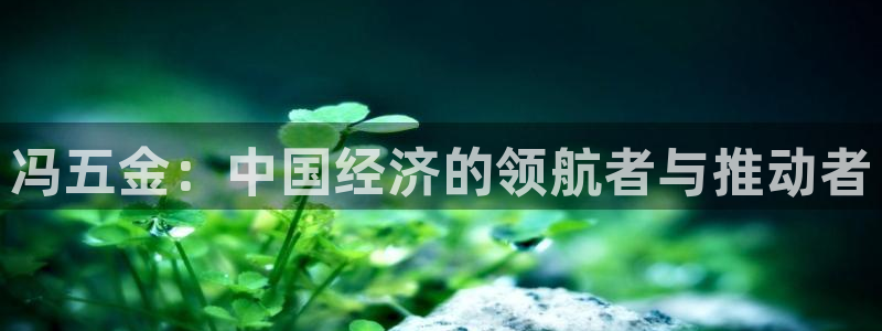 琳琅满目的娱乐设施