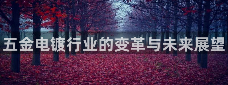 琳琅娱乐平台怎么样可靠吗