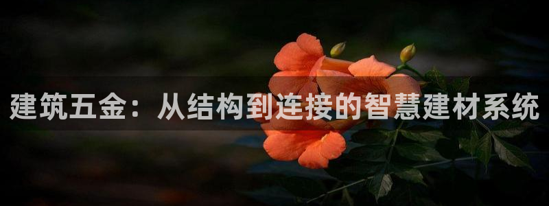 琳琅娱乐怎么样知乎