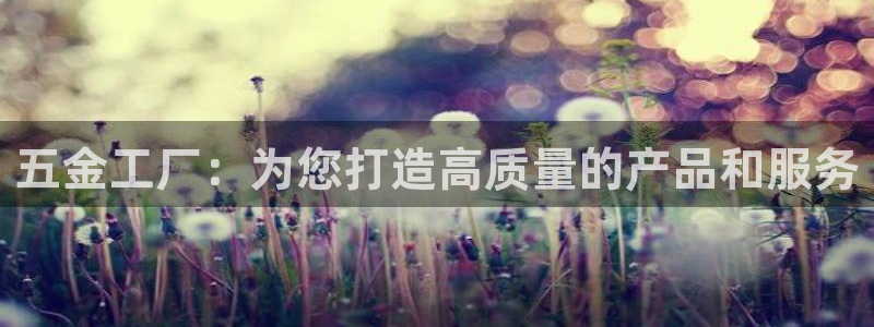 琳琅QQ娱乐机器人