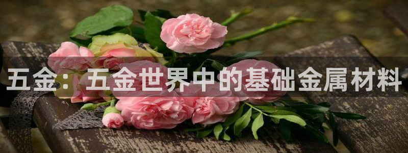 琳琅娱乐琳琅平台