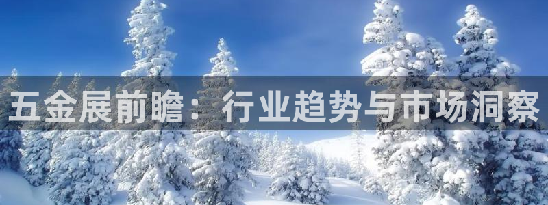 琳琅娱乐 全麦优质