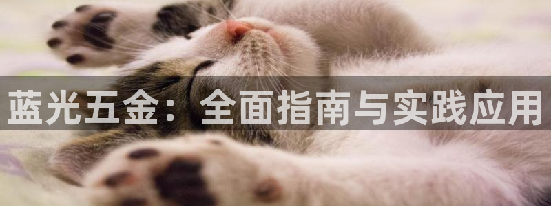 琳琅娱乐工作室