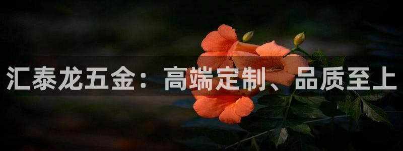 琳琅科技娱乐机器人插件