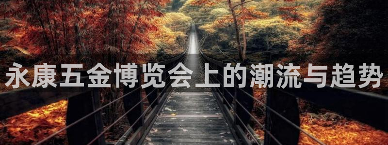 琳琅娱乐机器人