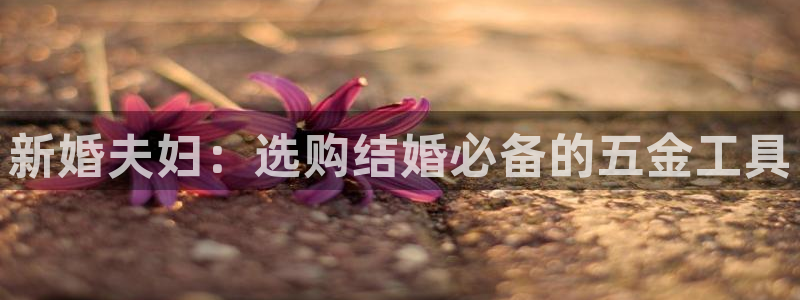 琳琅科技娱乐机器人