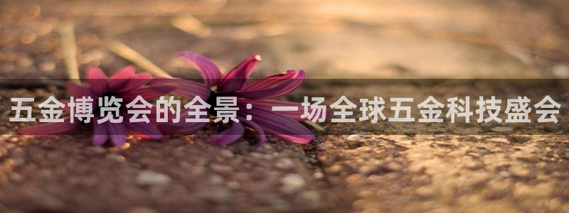 琳琅娱乐领先33300