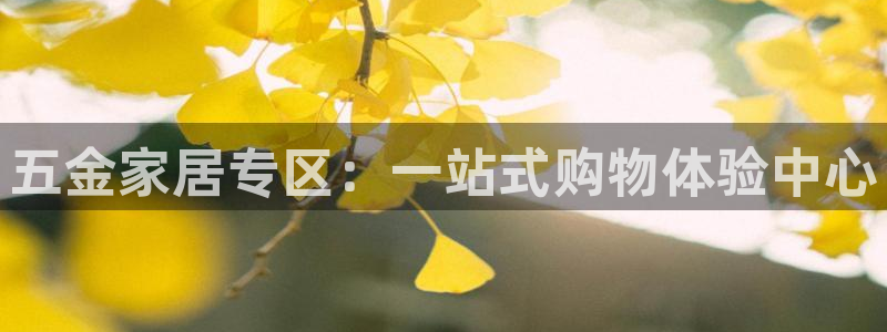 琳琅科技娱乐机器人