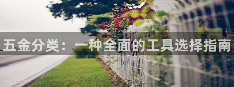 琳琅娱乐代理人是谁