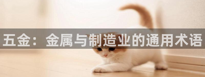 琳琅天上qq飞车娱乐