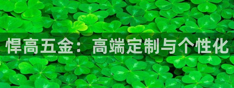 琳琅天上qq飞车娱乐