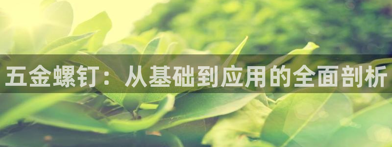 孝感琳琅娱乐会所