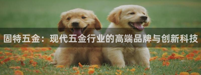 琳琅娱乐APP下载