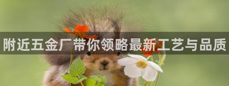 琳琅科技娱乐机器人教程