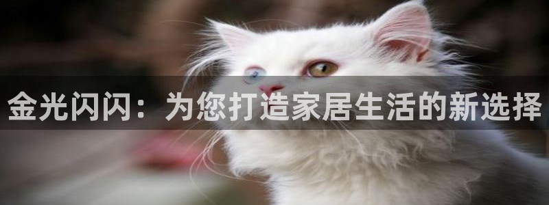 琳琅娱乐代理人是谁