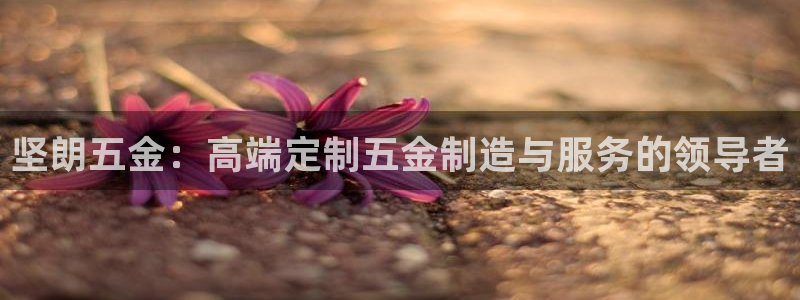 娱乐从琳琅榜开始笔趣阁