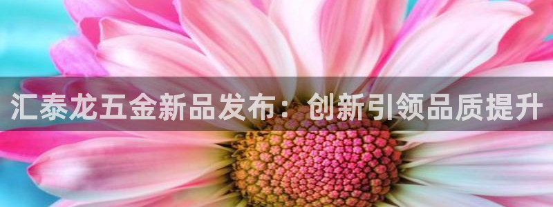 琳琅娱乐在哪直播的