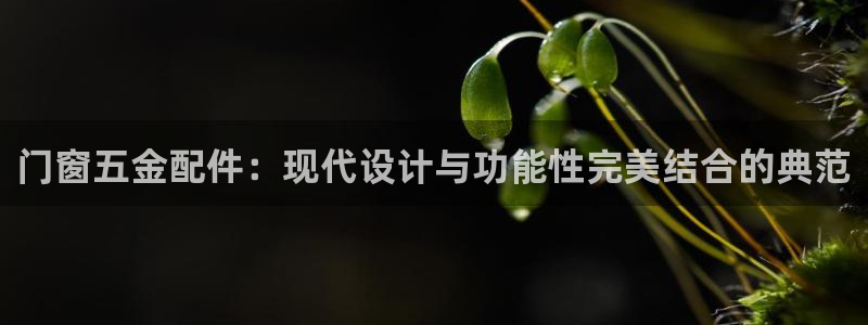 琳琅娱乐网