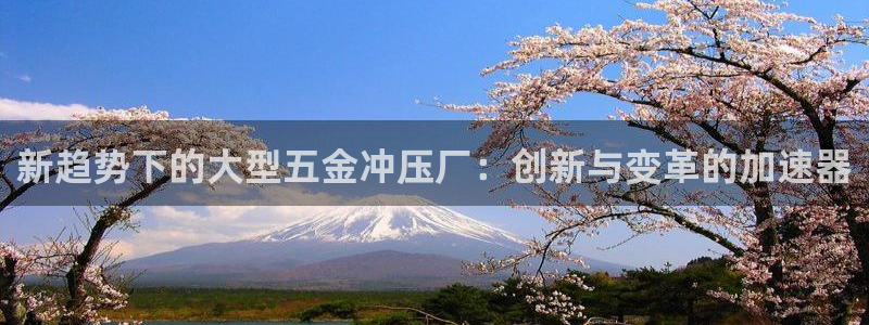 琳琅娱乐在哪直播
