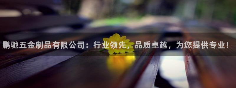 琳琅偏爱娱乐