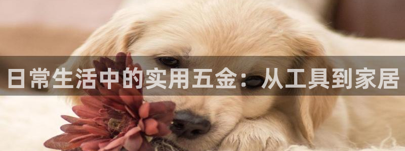 琳琅娱乐平台怎么样可靠吗