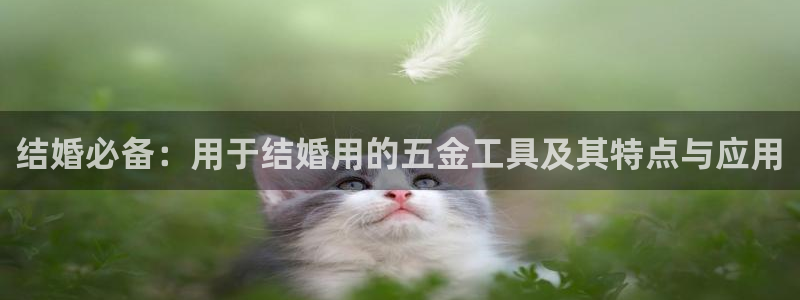 琳琅娱乐工作室招聘信息