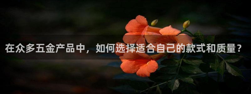 祖龙娱乐官网爱在琳琅