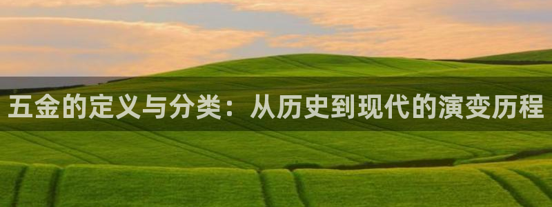 琳琅娱乐 全麦优质