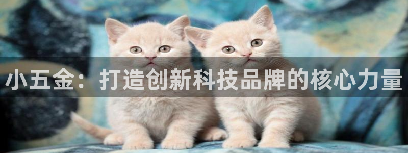 琳琅娱乐APP下载