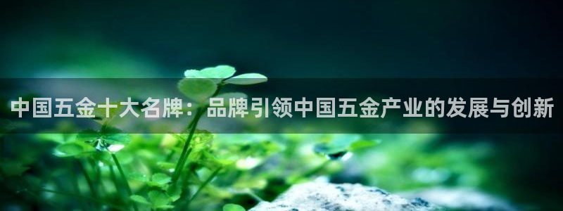 琳琅科技娱乐机器人下载