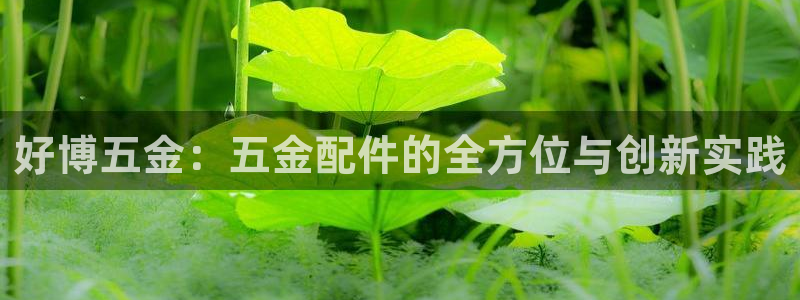 琳琅娱乐直播