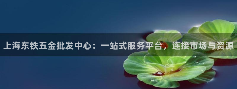 琳琅娱乐工作室怎么样啊