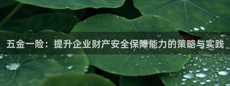 娱乐从琳琅榜开始的小说
